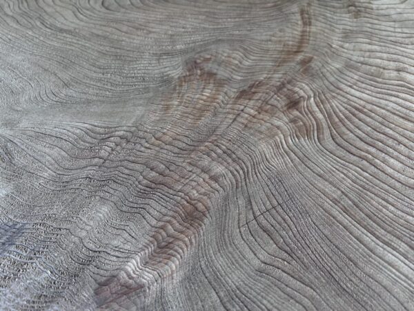 屋久杉 輪切りGX-28 | GRAXEN JAPAN