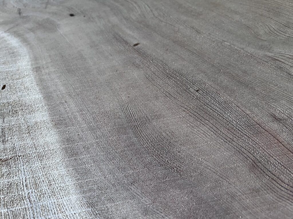 ⭐️IMG_3580 屋久杉 輪切り