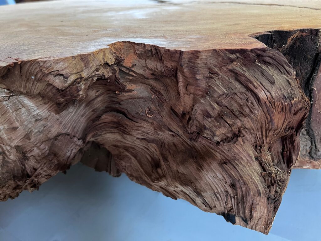 ⭐️IMG_3586r 屋久杉 輪切り