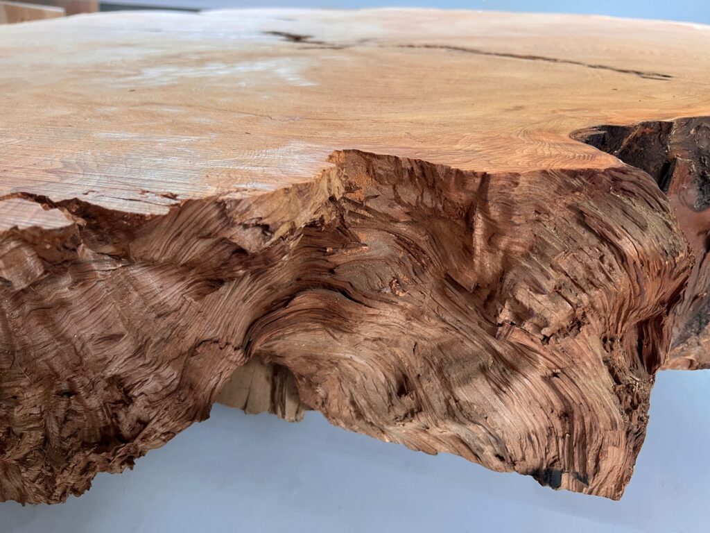 ⭐️IMG_3592r 屋久杉 輪切り