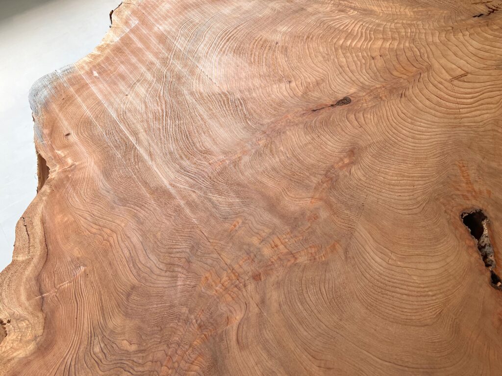 ⭐️IMG_3598rc 屋久杉 輪切り