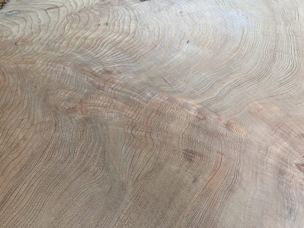 ⭐️IMG_3600 屋久杉 輪切り