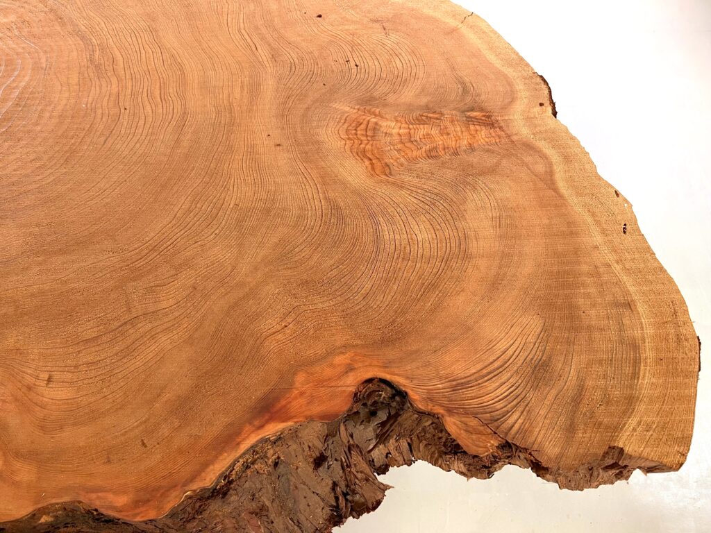 ⭐️IMG_3601rc 屋久杉 輪切り