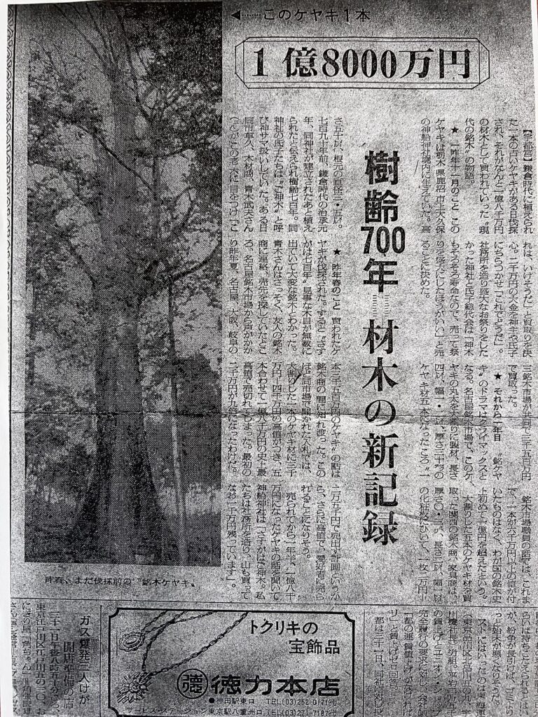 ⭐️IMG_3833 欅 一枚板