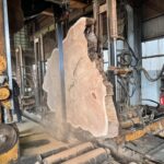 屋久杉 輪切り 製材