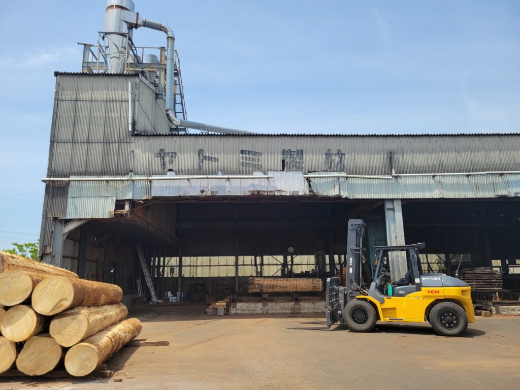 屋久杉 輪切り 製材