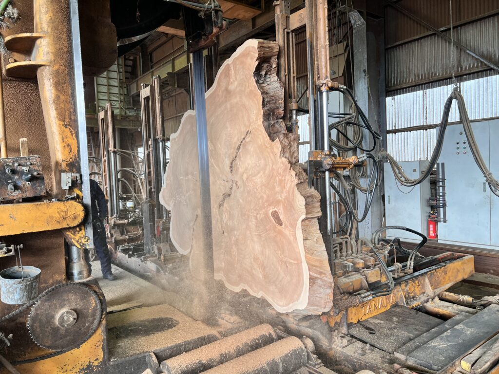 屋久杉 輪切り 製材