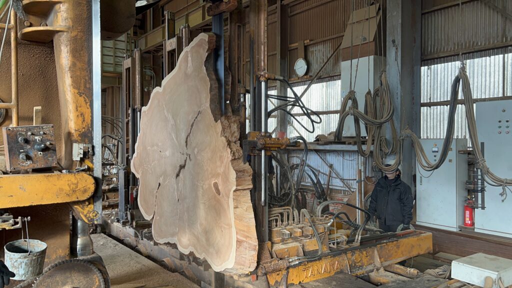 屋久杉 輪切り 製材