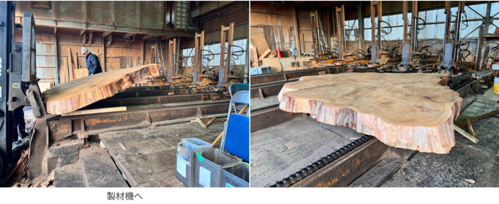 屋久杉 輪切り 製材