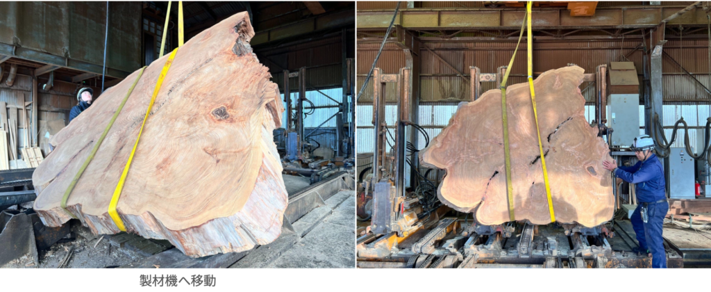 屋久杉 輪切り 製材